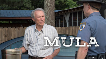 The Mule (2018)